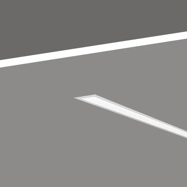 Notus 16 Linear IN variant